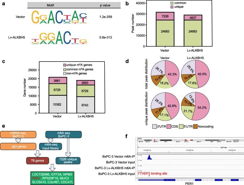 https://cdn.ncbi.nlm.nih.gov/pmc/blobs/f1fa/7236181/0c4392c36805/12943_2020_1158_Fig5_HTML.jpg