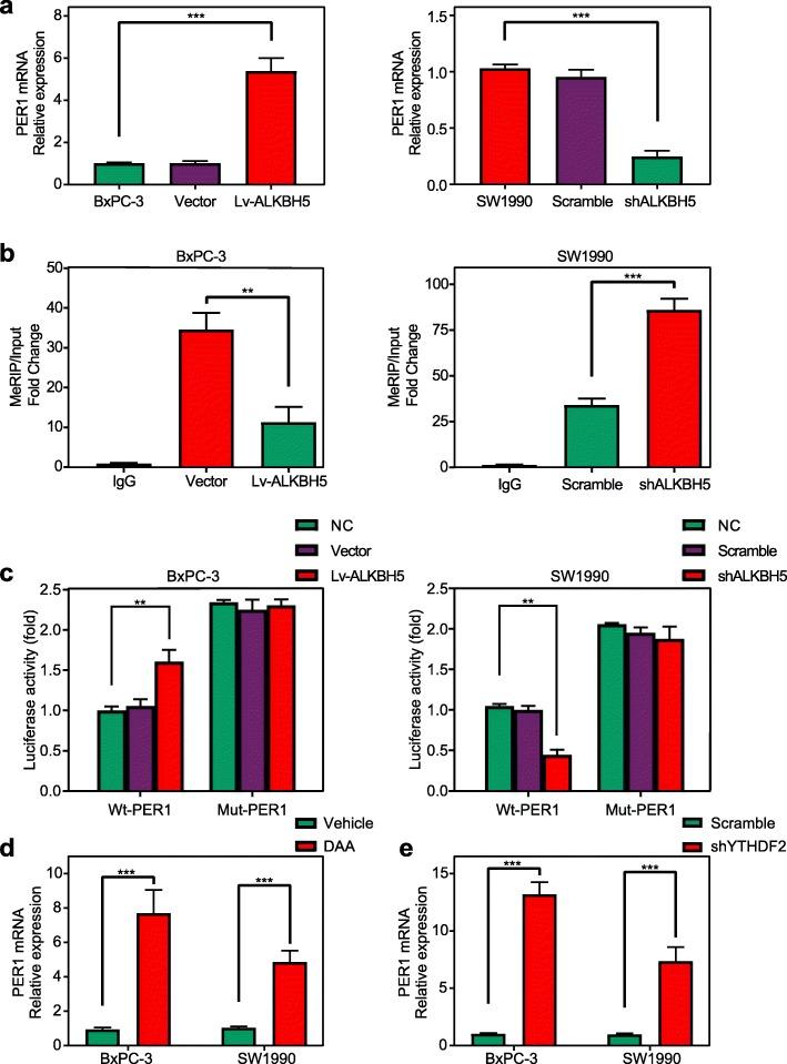 https://cdn.ncbi.nlm.nih.gov/pmc/blobs/f1fa/7236181/33d4828098d6/12943_2020_1158_Fig6_HTML.jpg