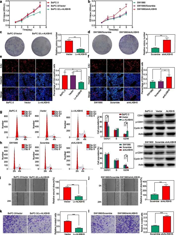 https://cdn.ncbi.nlm.nih.gov/pmc/blobs/f1fa/7236181/59d9a76c2118/12943_2020_1158_Fig3_HTML.jpg