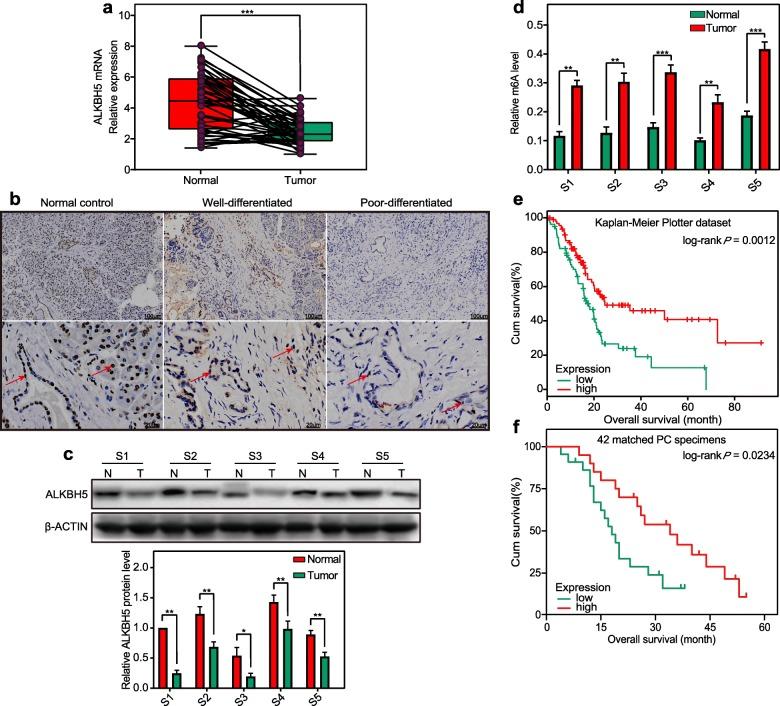 https://cdn.ncbi.nlm.nih.gov/pmc/blobs/f1fa/7236181/7c3fd951cefe/12943_2020_1158_Fig1_HTML.jpg