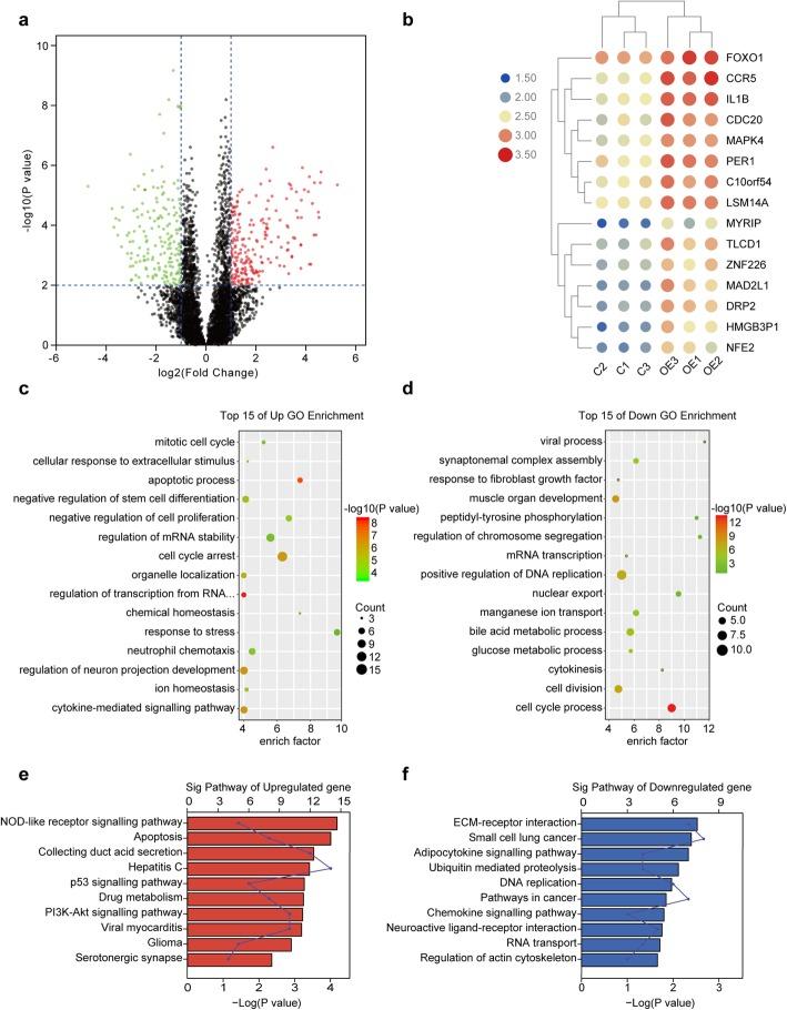 https://cdn.ncbi.nlm.nih.gov/pmc/blobs/f1fa/7236181/bf512c998322/12943_2020_1158_Fig2_HTML.jpg