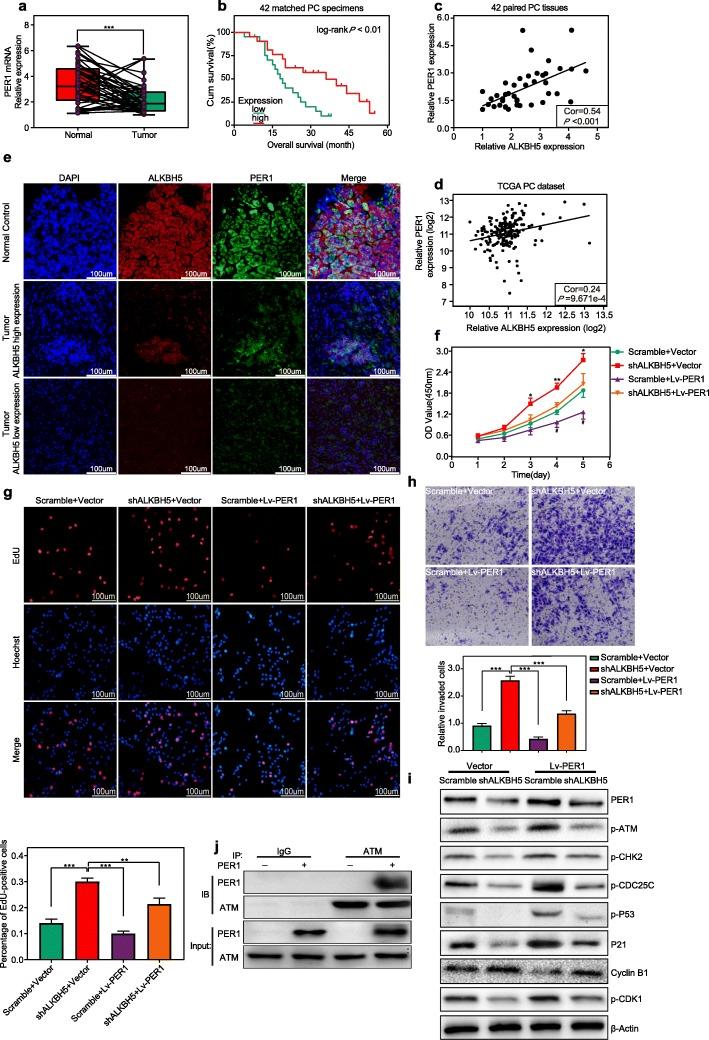 https://cdn.ncbi.nlm.nih.gov/pmc/blobs/f1fa/7236181/c93fcea6950e/12943_2020_1158_Fig7_HTML.jpg