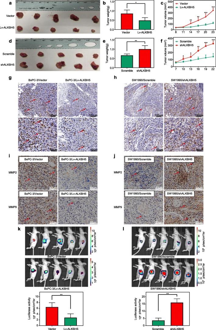 https://cdn.ncbi.nlm.nih.gov/pmc/blobs/f1fa/7236181/d6507427c920/12943_2020_1158_Fig4_HTML.jpg