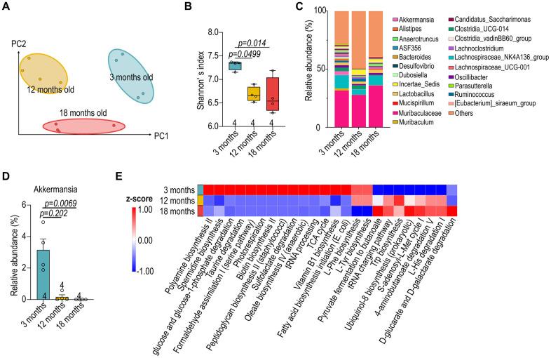 https://cdn.ncbi.nlm.nih.gov/pmc/blobs/f1fb/12339018/5a0618dbc136/aging-17-206279-g003.jpg