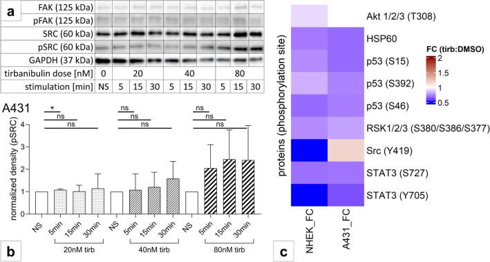 https://cdn.ncbi.nlm.nih.gov/pmc/blobs/f1fd/11161541/12f654052b14/403_2024_3032_Fig3_HTML.jpg