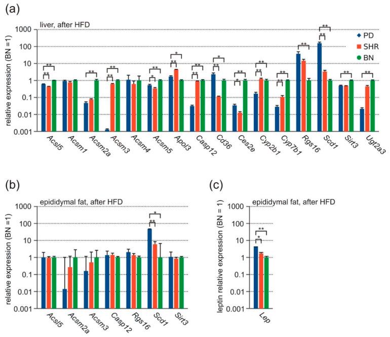 https://cdn.ncbi.nlm.nih.gov/pmc/blobs/f1fd/8147112/5b84babc5d87/nutrients-13-01462-g004.jpg