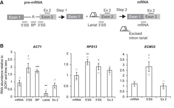 https://cdn.ncbi.nlm.nih.gov/pmc/blobs/f201/6800482/28f865cf915d/1298f03.jpg