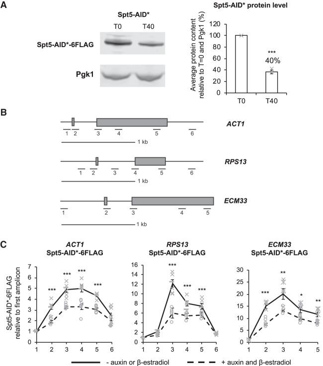 https://cdn.ncbi.nlm.nih.gov/pmc/blobs/f201/6800482/a48b253a3738/1298f01.jpg