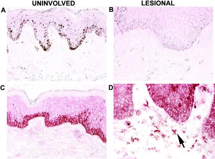 https://cdn.ncbi.nlm.nih.gov/pmc/blobs/f205/1887731/9b358b2c2e0c/20030451f2.jpg