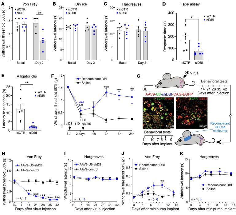https://cdn.ncbi.nlm.nih.gov/pmc/blobs/f206/11324294/1c8ae05ecb84/jci-134-176227-g112.jpg