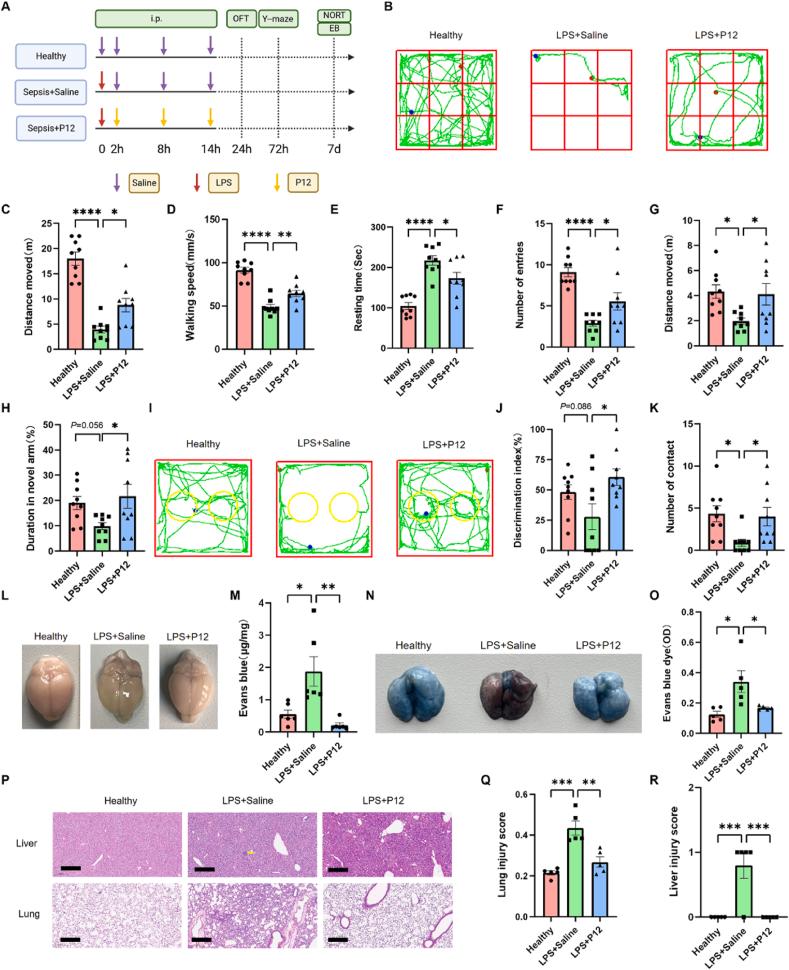 https://cdn.ncbi.nlm.nih.gov/pmc/blobs/f207/11997411/38e521ed67db/gr4.jpg