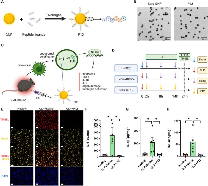 https://cdn.ncbi.nlm.nih.gov/pmc/blobs/f207/11997411/e6a1ed17d615/gr1.jpg