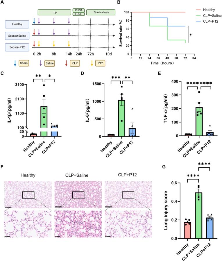 https://cdn.ncbi.nlm.nih.gov/pmc/blobs/f207/11997411/ffd1d58604ab/gr3.jpg