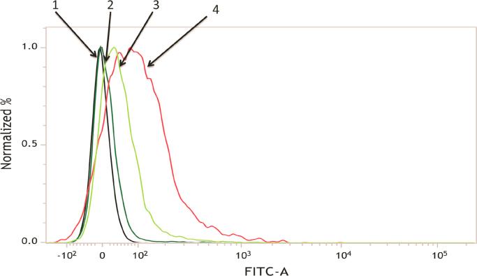 https://cdn.ncbi.nlm.nih.gov/pmc/blobs/f209/5600319/354f59cc6645/gr8.jpg