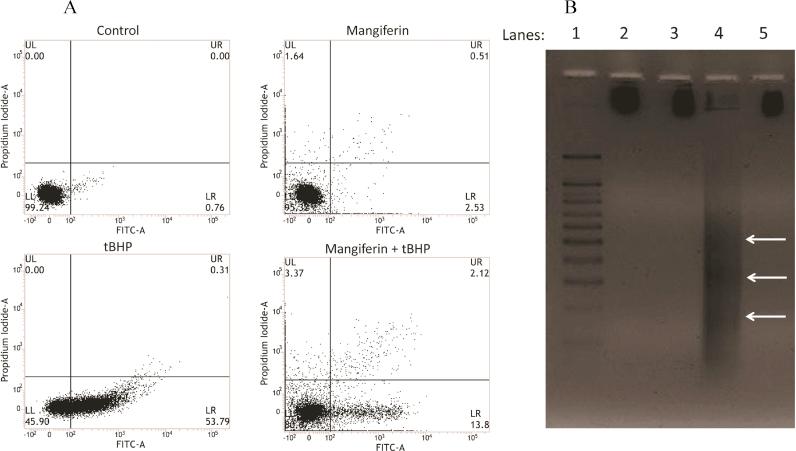 https://cdn.ncbi.nlm.nih.gov/pmc/blobs/f209/5600319/e653f5817c8a/gr7.jpg