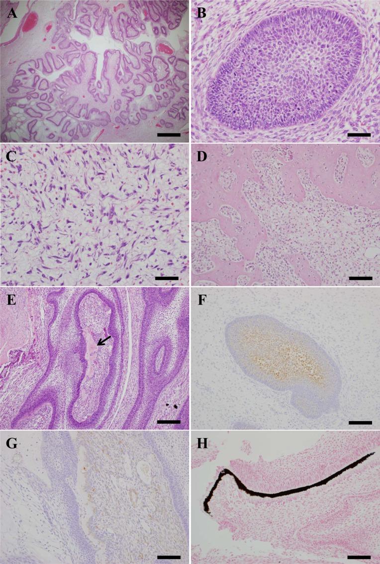 https://cdn.ncbi.nlm.nih.gov/pmc/blobs/f20c/3787612/3dddb896be62/tox-26-325-g002.jpg