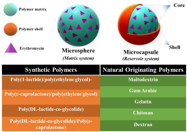 https://cdn.ncbi.nlm.nih.gov/pmc/blobs/f20d/9608461/5002c442dccf/pharmaceutics-14-02180-g010.jpg