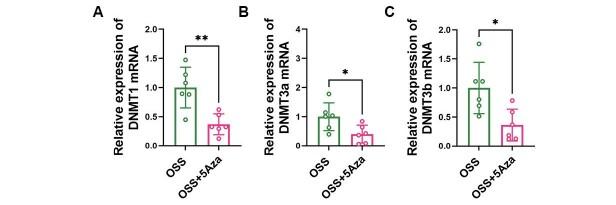 https://cdn.ncbi.nlm.nih.gov/pmc/blobs/f211/12055510/003f2b5589f8/32_64990_9.jpg
