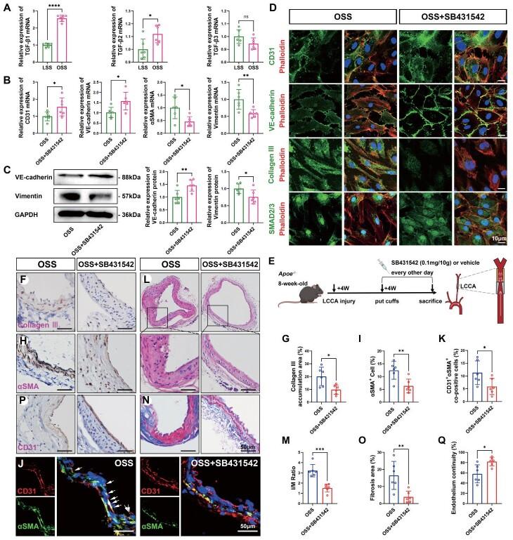 https://cdn.ncbi.nlm.nih.gov/pmc/blobs/f211/12055510/7dbfa04b496e/32_64990_6.jpg