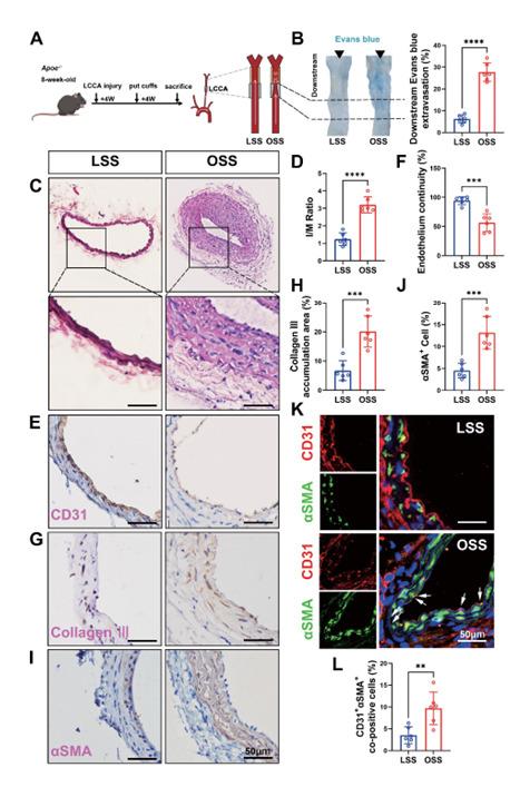 https://cdn.ncbi.nlm.nih.gov/pmc/blobs/f211/12055510/dbc811437ad8/32_64990_1.jpg