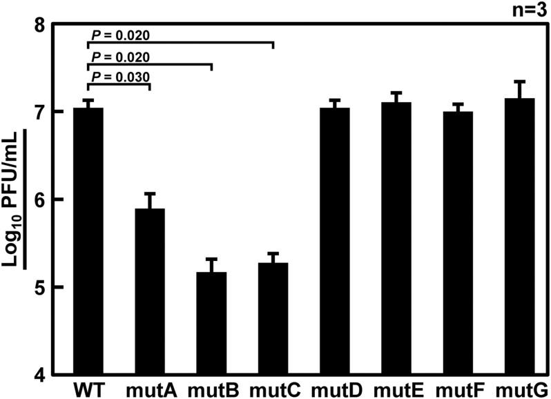 https://cdn.ncbi.nlm.nih.gov/pmc/blobs/f211/8385638/5e3183557321/fmicb-12-709010-g003.jpg