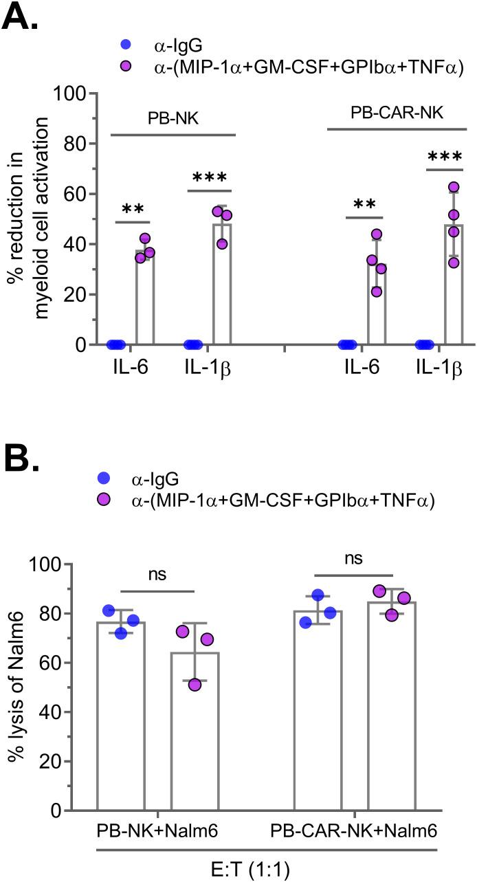 https://cdn.ncbi.nlm.nih.gov/pmc/blobs/f212/11703831/78b16aaf3e1d/fimmu-15-1519415-g006.jpg