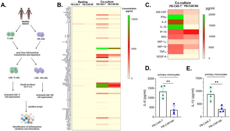 https://cdn.ncbi.nlm.nih.gov/pmc/blobs/f212/11703831/a05a25edeab3/fimmu-15-1519415-g001.jpg