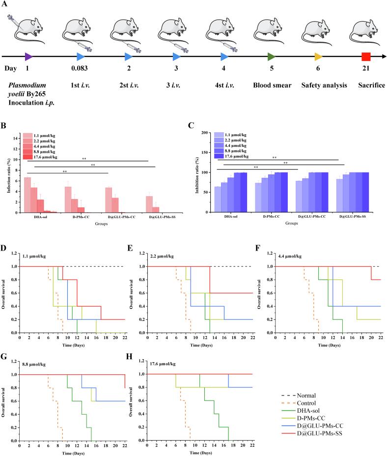 https://cdn.ncbi.nlm.nih.gov/pmc/blobs/f214/12344195/4726b31598de/gr4.jpg