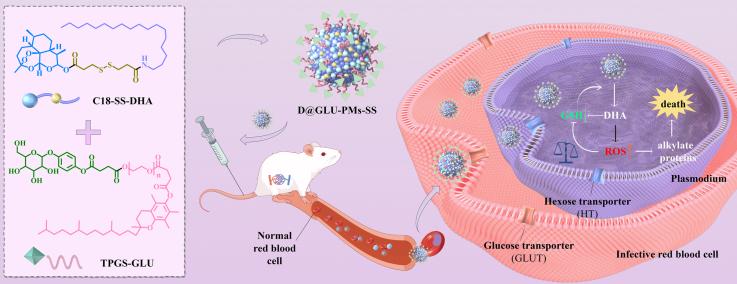 https://cdn.ncbi.nlm.nih.gov/pmc/blobs/f214/12344195/65d9d004090c/ga1.jpg