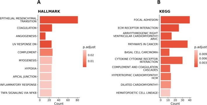 https://cdn.ncbi.nlm.nih.gov/pmc/blobs/f215/12038780/c4582d82e3e5/FSB2-39-e70578-g002.jpg