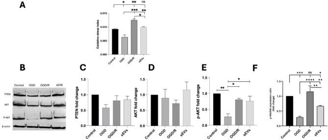 https://cdn.ncbi.nlm.nih.gov/pmc/blobs/f217/11881436/2a772a4b8d39/40659_2025_593_Fig7_HTML.jpg