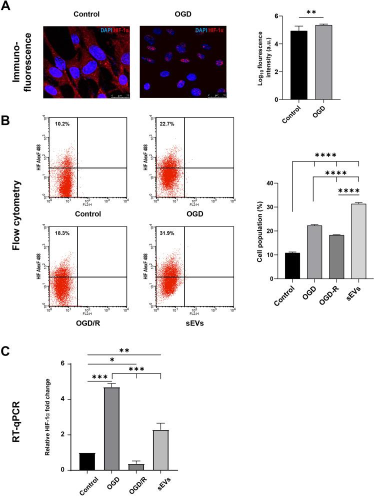 https://cdn.ncbi.nlm.nih.gov/pmc/blobs/f217/11881436/7d29f8065dc3/40659_2025_593_Fig4_HTML.jpg