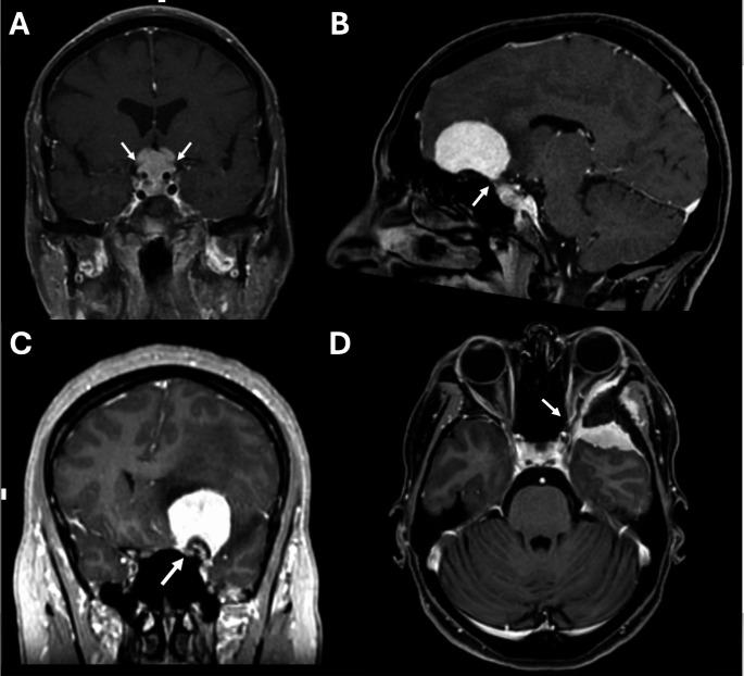 https://cdn.ncbi.nlm.nih.gov/pmc/blobs/f219/11799015/046b273d91ba/10143_2025_3210_Fig1_HTML.jpg