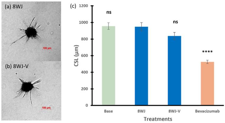 https://cdn.ncbi.nlm.nih.gov/pmc/blobs/f21a/11769471/9295e8e3c464/pharmaceutics-17-00055-g005.jpg