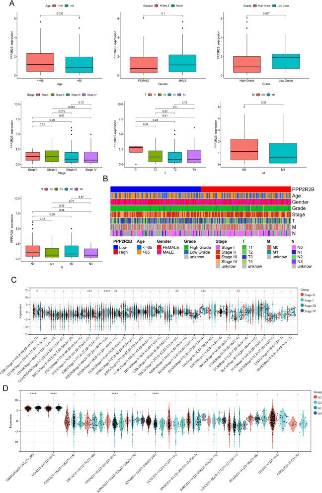https://cdn.ncbi.nlm.nih.gov/pmc/blobs/f21c/10898125/542750773f5e/13062_2024_461_Fig5_HTML.jpg