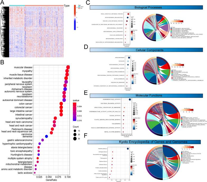 https://cdn.ncbi.nlm.nih.gov/pmc/blobs/f21c/10898125/aa90417cf149/13062_2024_461_Fig1_HTML.jpg