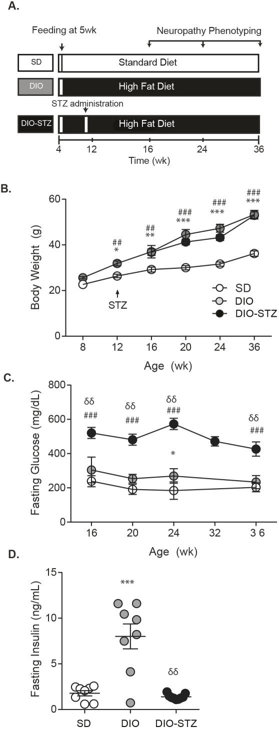 https://cdn.ncbi.nlm.nih.gov/pmc/blobs/f21e/6307897/25be9e8139fd/dmm-11-037374-g1.jpg