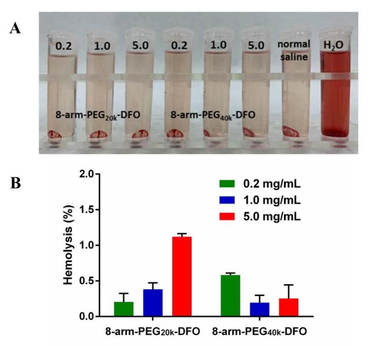 https://cdn.ncbi.nlm.nih.gov/pmc/blobs/f21f/7238202/9e9aea261d79/pharmaceutics-12-00329-g003.jpg