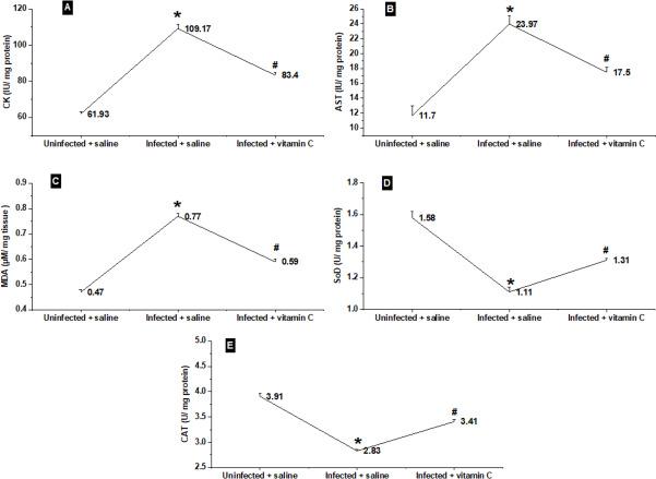 https://cdn.ncbi.nlm.nih.gov/pmc/blobs/f220/11568815/e044828919cd/peerj-12-18381-g008.jpg