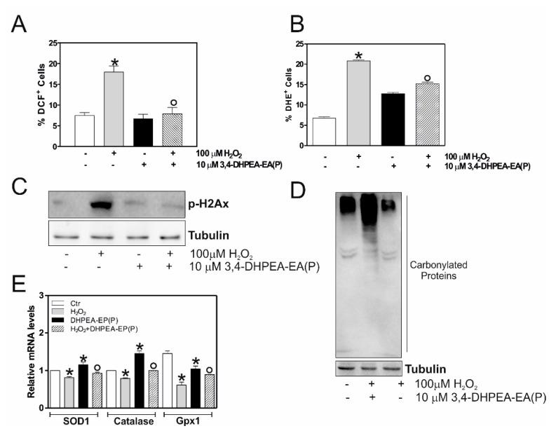 https://cdn.ncbi.nlm.nih.gov/pmc/blobs/f223/7700591/99e888f04e9a/molecules-25-05472-g003.jpg
