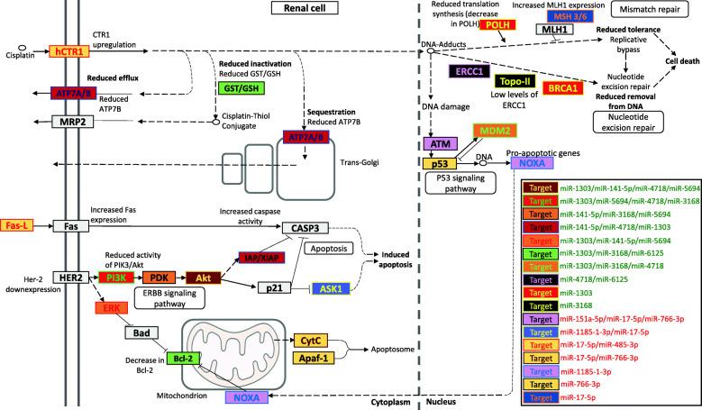 https://cdn.ncbi.nlm.nih.gov/pmc/blobs/f223/8136168/1c8856e67c01/12885_2021_8317_Fig3_HTML.jpg