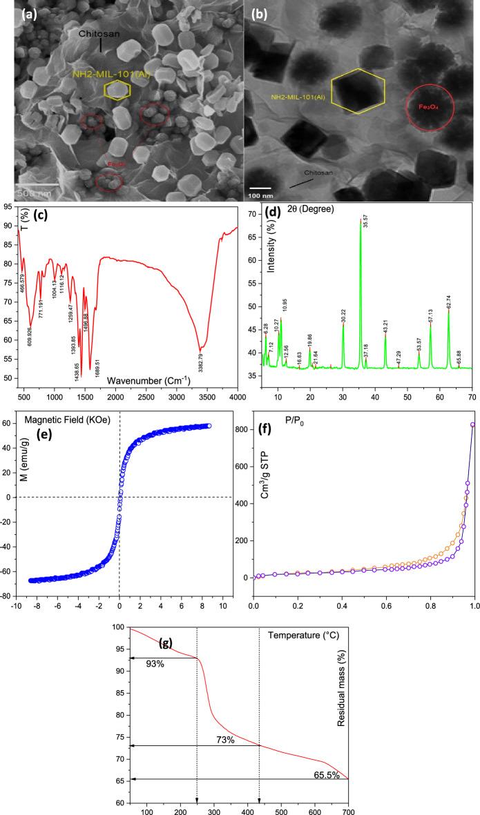 https://cdn.ncbi.nlm.nih.gov/pmc/blobs/f223/9643464/b7e041b21d8d/41598_2022_21551_Fig1_HTML.jpg