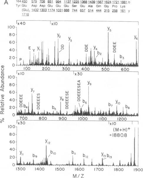 https://cdn.ncbi.nlm.nih.gov/pmc/blobs/f224/51730/a9f22030de6c/pnas01061-0134-a.jpg