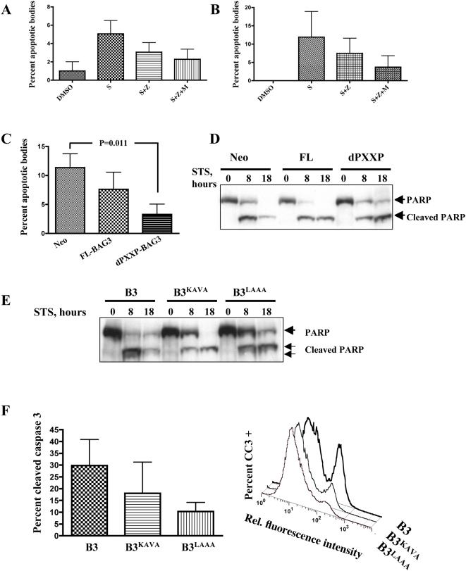 https://cdn.ncbi.nlm.nih.gov/pmc/blobs/f225/2662420/cb808ddba777/pone.0005136.g006.jpg