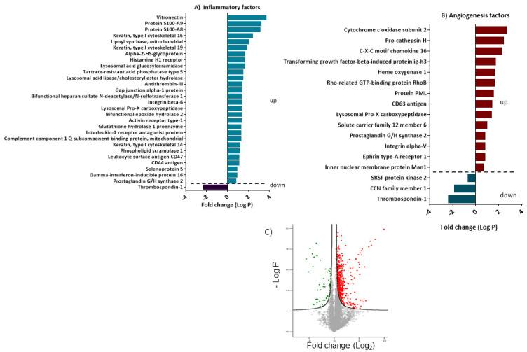 https://cdn.ncbi.nlm.nih.gov/pmc/blobs/f226/10341195/7f9e8b80c25b/cells-12-01731-g009.jpg
