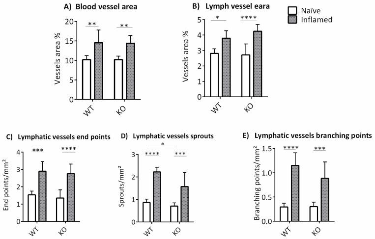 https://cdn.ncbi.nlm.nih.gov/pmc/blobs/f226/10341195/c118dae2ad59/cells-12-01731-g004.jpg