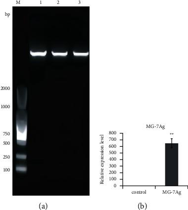https://cdn.ncbi.nlm.nih.gov/pmc/blobs/f226/9038393/7a7538352913/JHE2022-1964081.003.jpg