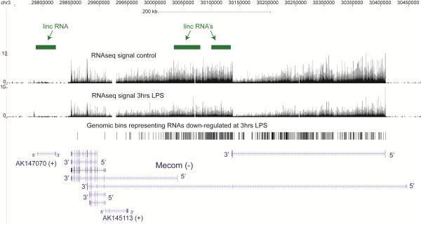 https://cdn.ncbi.nlm.nih.gov/pmc/blobs/f228/3507791/cfeed62d1f30/1471-2164-13-504-6.jpg