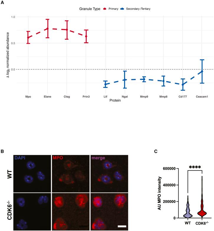 https://cdn.ncbi.nlm.nih.gov/pmc/blobs/f229/12432455/4d22b858d367/gr5.jpg