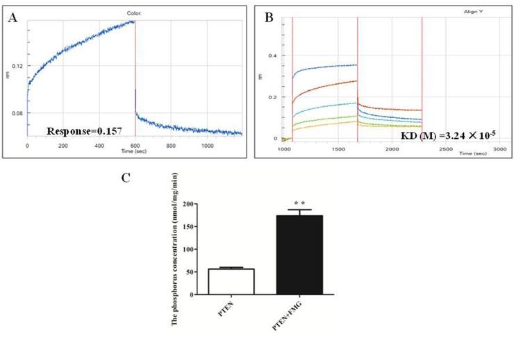 https://cdn.ncbi.nlm.nih.gov/pmc/blobs/f22a/5731899/bc5b27e91147/oncotarget-08-101599-g008.jpg